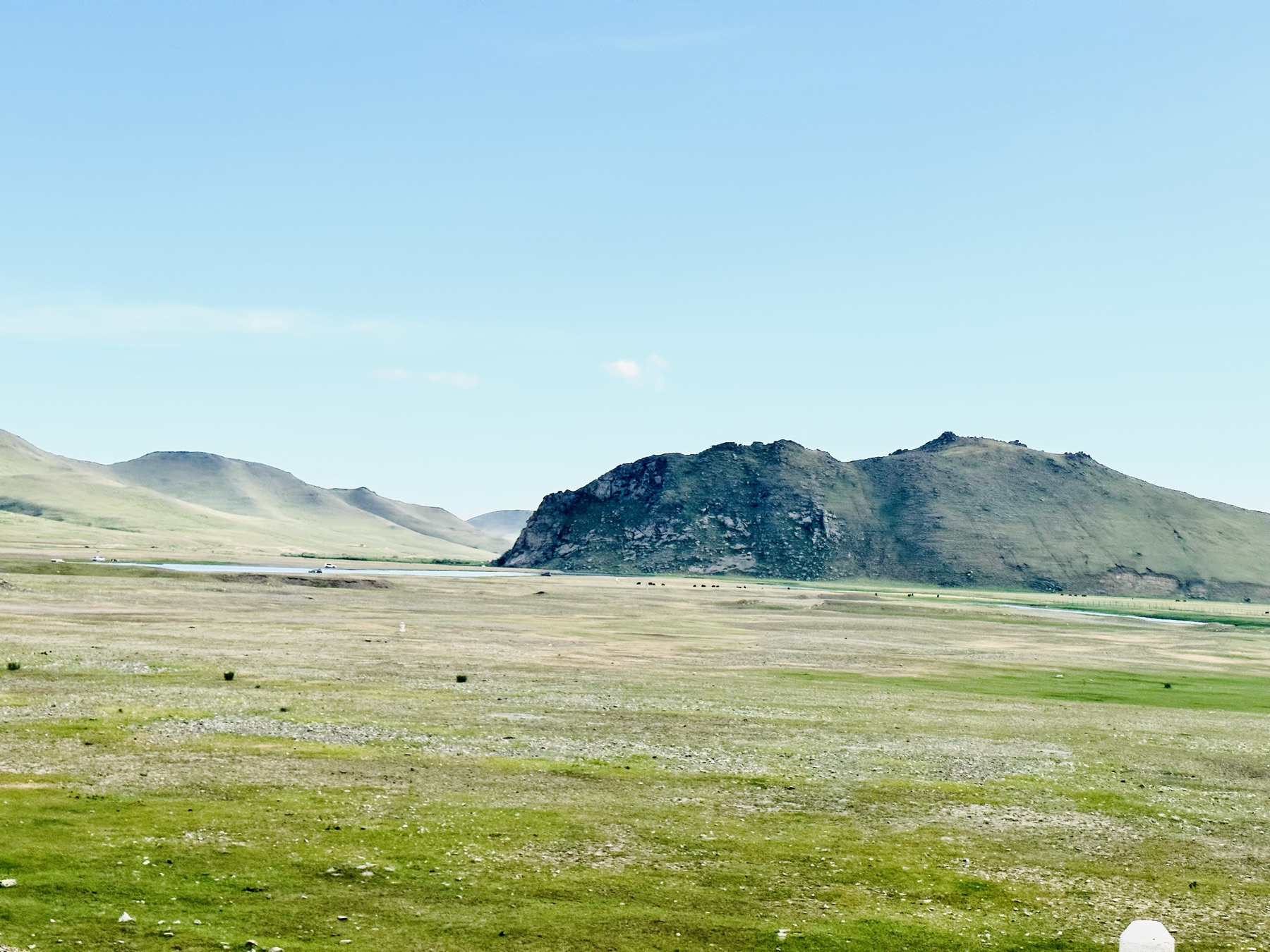 Mongolian steppe grassland